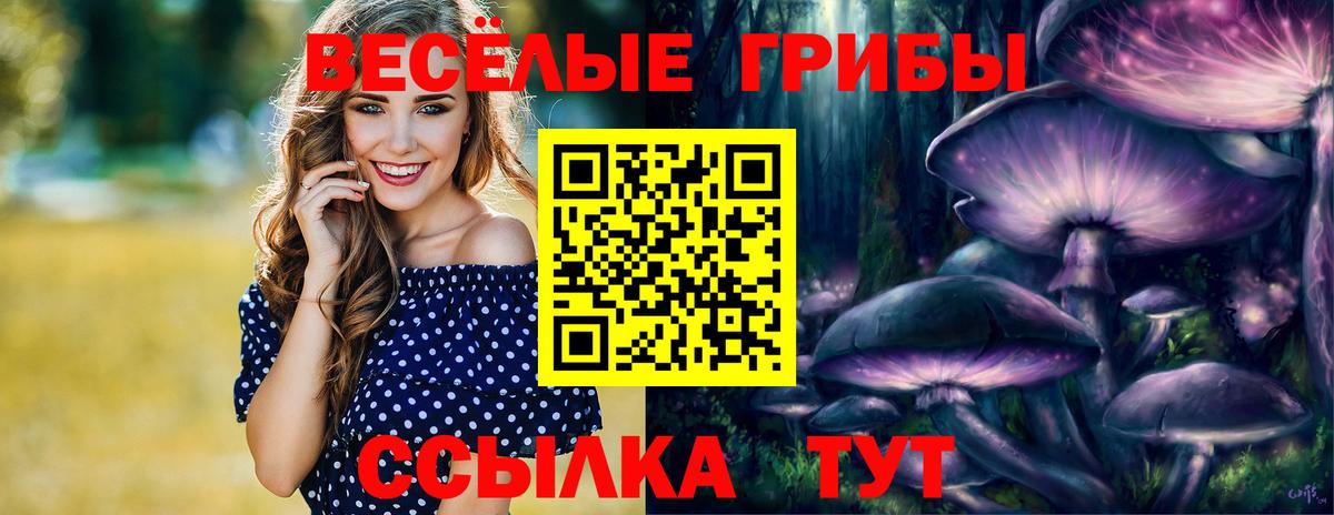 Тавда  Галлюциногенные грибы MAGIC MUSHROOMS  Вход с VPN 
