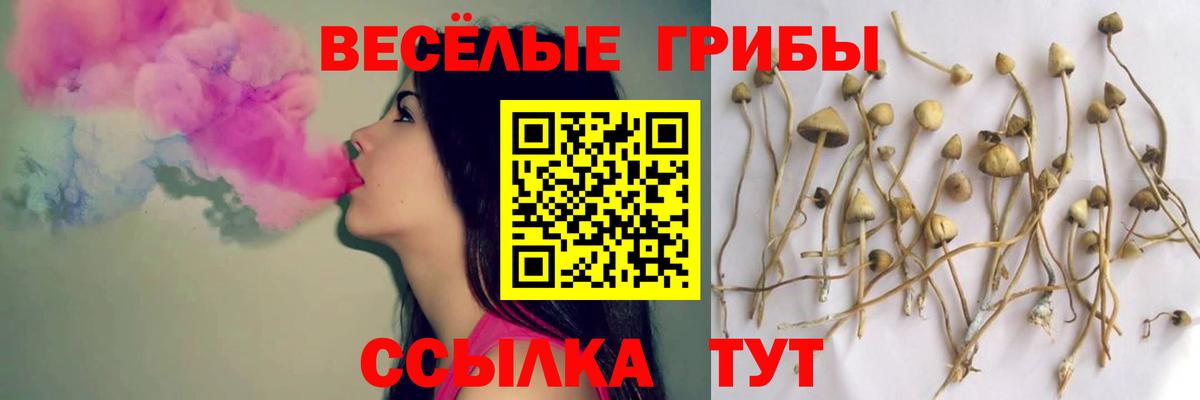 Псилоцибиновые грибы Magic Shrooms Тавда